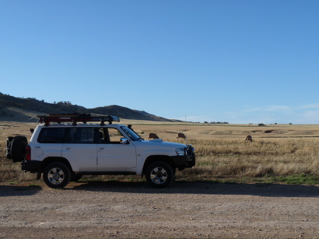 Patrol_At_Worlds_End_Burra.JPG.6039da6db